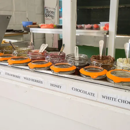 Perla Royal 5* プリモルスコ